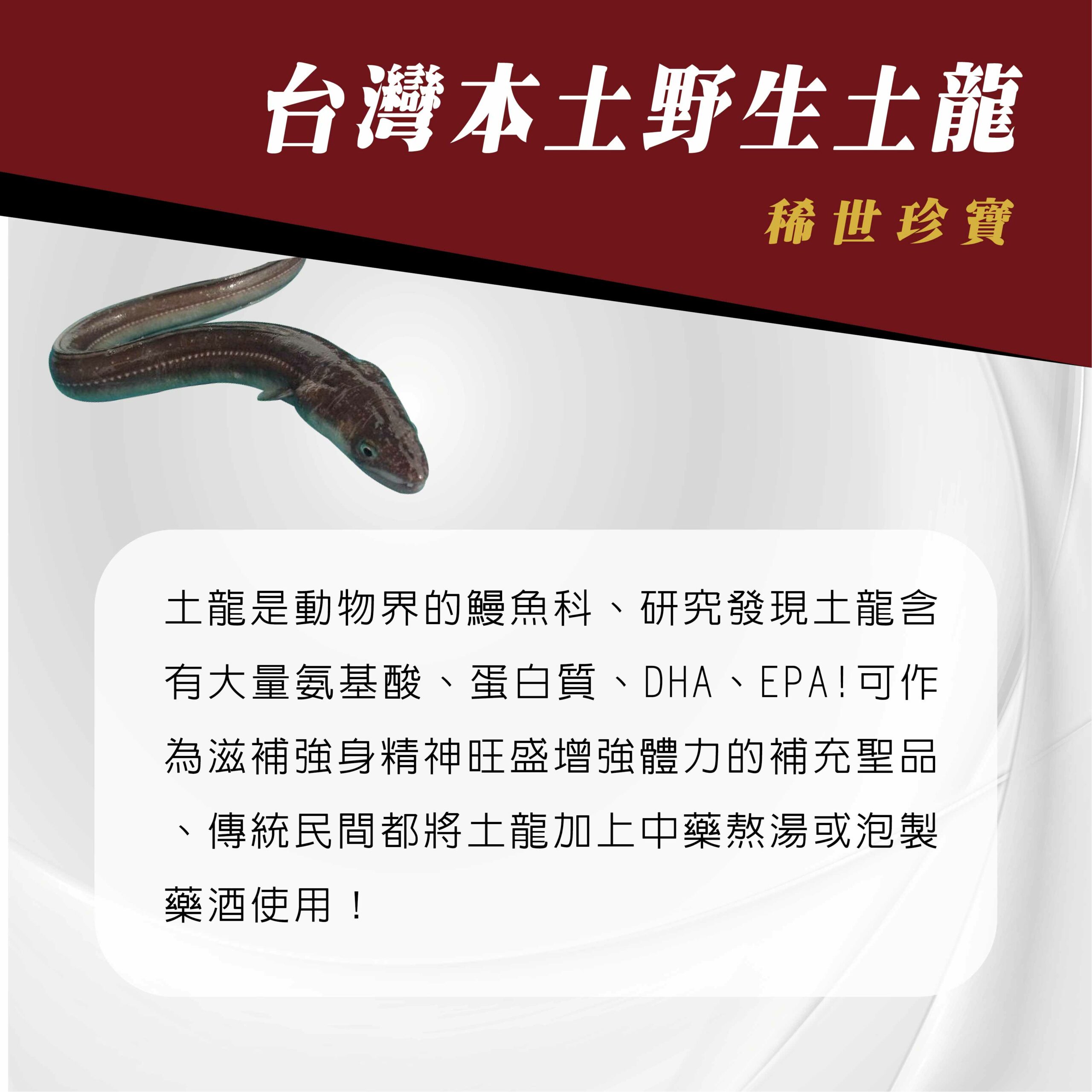 土龍精養生精華膠囊 – 太極石